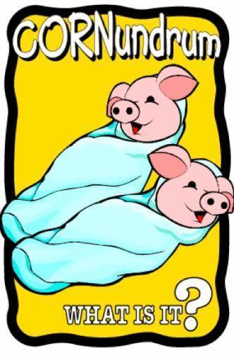 Pigs in a Blanket Cornundrum - The MAiZE