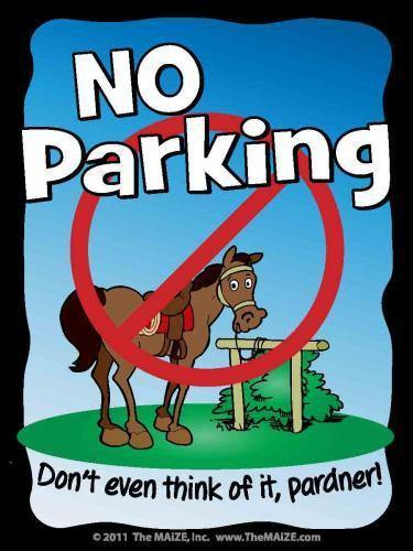 No Parking Sign - The MAiZE