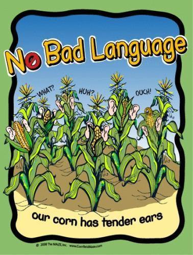 No Profanity Sign - The MAiZE