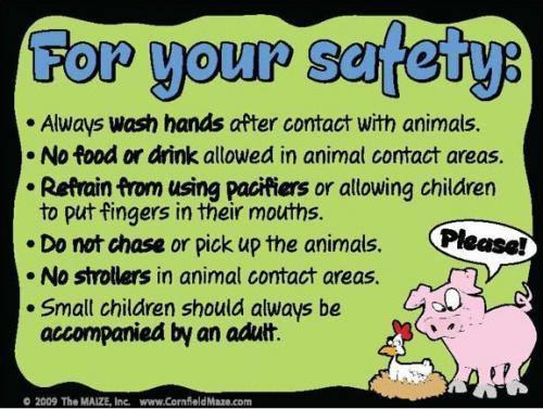 Animal Safety - The MAiZE